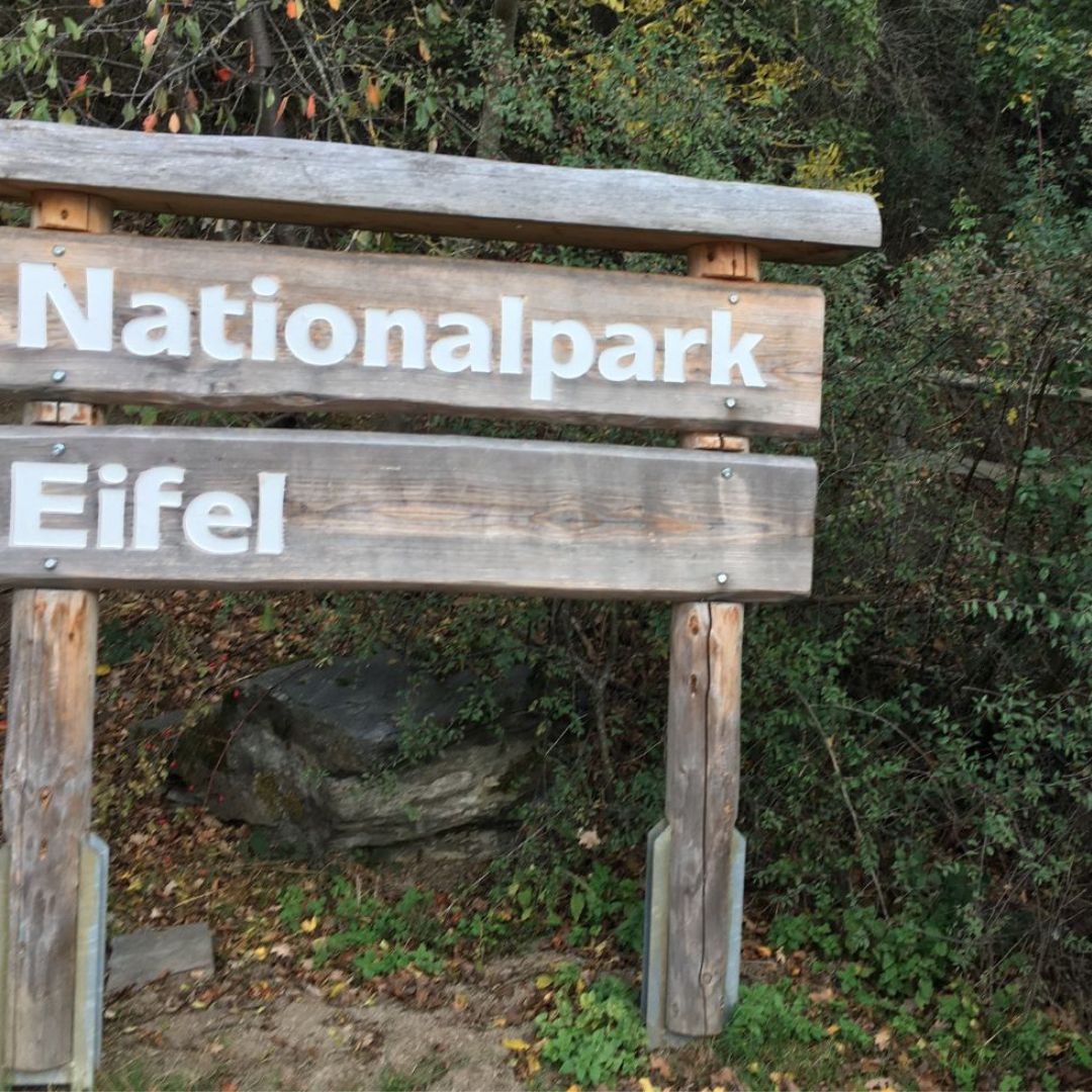 nationalpark-eifel